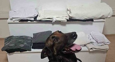 Balıkesir'de 6 kilo uyuşturucu yakalandı: 3 gözaltı