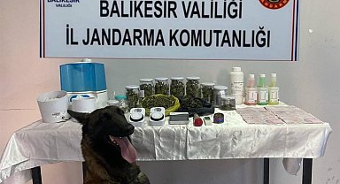 Balıkesir'de jandarmadan kaçakçılık ve uyuşturucuya darbe: 81 şüpheliye işlem yapıldı