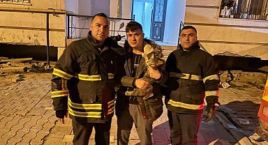 Balkonda mahsur kalan kediyi itfaiye kurtardı