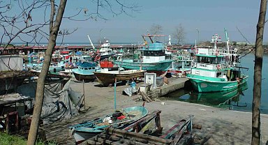 Batı Karadeniz'de balıkçılar sezonu erken kapattı