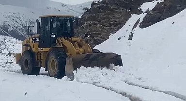 Batman'da 7 köy ve mezra yolu kar yağışı nedeniyle kapandı