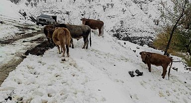 Batman'da nisan ayında kar çilesi: 60 yerleşim yerinin yolu ulaşıma kapandı