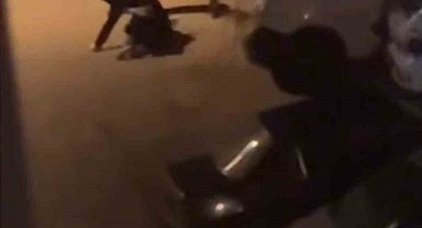Bayıltana kadar dövdüler, o anlar kamerada