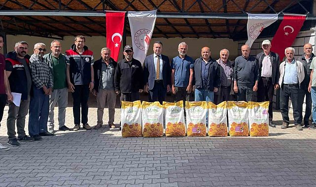 Beyşehir'de ayçiçeği ekimi ile tarlalar sarıya boyanacak