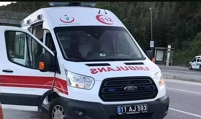 Bilecik'te seyir halinde devrilen motosiklet sürücüsü yaralandı