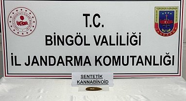 Bingöl'de bonzai ele geçirildi: 4 gözaltı