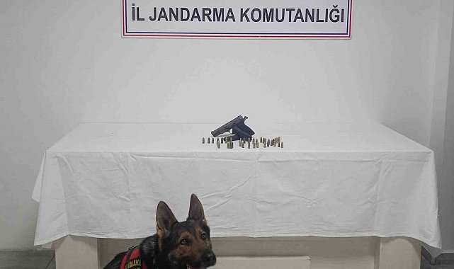 Bingöl'de ruhsatsız silah ele geçirildi