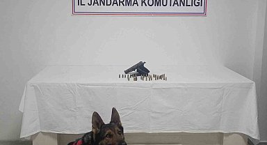 Bingöl'de ruhsatsız silah ele geçirildi