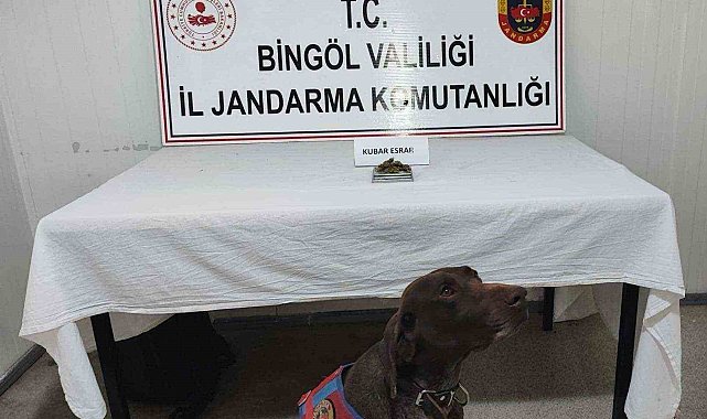 Bingöl'de uyuşturucu madde ve tüfek ele geçirildi