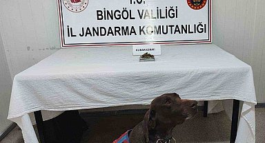 Bingöl'de uyuşturucu madde ve tüfek ele geçirildi