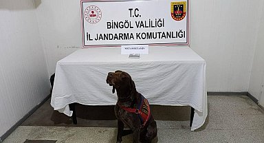 Bingöl'de uyuşturucuyla mücadele: 2 gözaltı