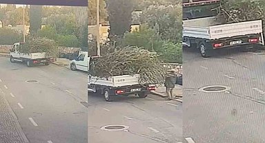 Bodrum Belediyesi'nden çevreyi kirletenlere cezai işlem