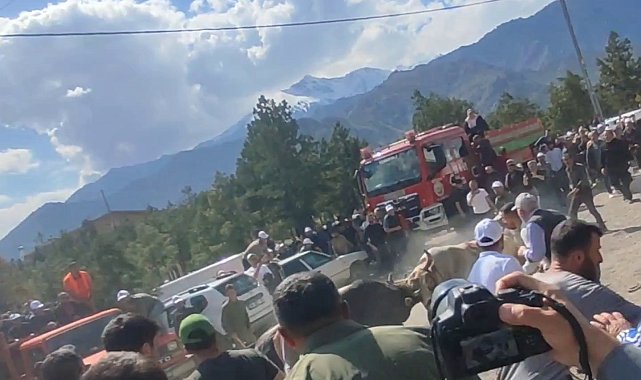 Boğa güreşlerinde panik dolu anlar
