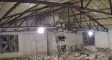 Bolu'da kümese girmeye çalışan ayı kamerada