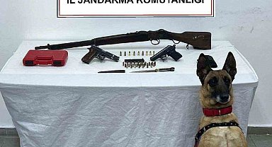 Bomba arama köpeği Yazı yine yakaladı