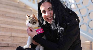 Böyle bağ görülmedi: Etkinlikte tanıştığı kediyi almak için 2 bin 500 kilometre yol kat etti