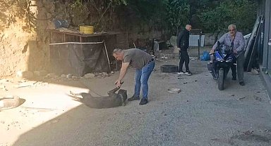 Böylesi ilk defa görüldü, motosikletini sakladığı yer jandarmayı bile şaşkına çevirdi