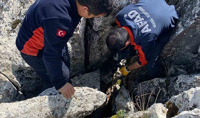 Burdur'da kayalıklar arasında sıkışan keçi kurtarıldı