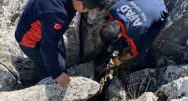 Burdur'da kayalıklar arasında sıkışan keçi kurtarıldı