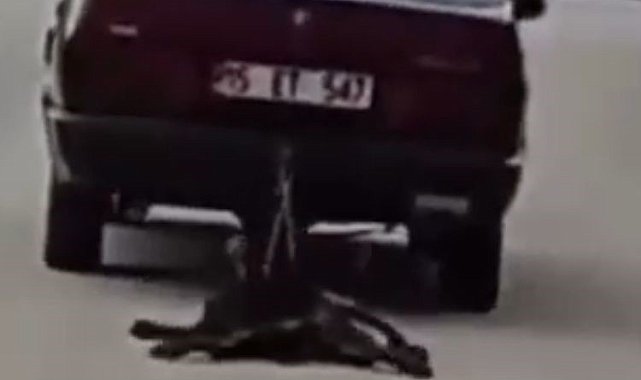 Burdur'da köpeği aracının arkasında sürükleyen şahıs tutuklandı