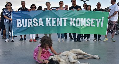 Bursa Kent Konseyi'nden Gemlik'teki yavru kedi vahşetine kınama!