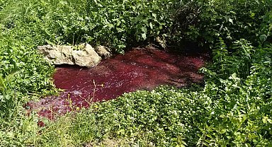 Bursa'da bu dere 'kan' ağlıyor