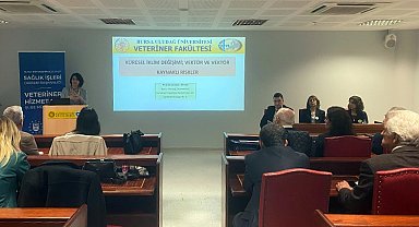 Bursa'da 'iklimsel' vektörel kaynaklı hastalıklar ele alındı