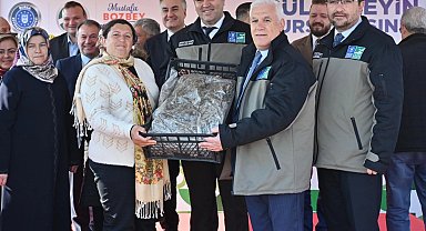 Bursa'dan çiftçiye 1,2 milyon adet çilek fidesi