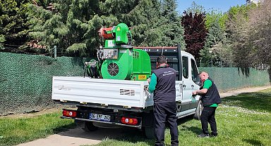 Büyükşehir, sivrisineksiz bir yaz için çalışıyor