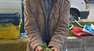 Çağla, Aydın'daki tezgahlarda yerini aldı: Kilosu 250 lira