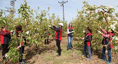 Çanakkale'de Elma İç Kurduna Karşı Biyoteknik Mücadele Yaygınlaşıyor