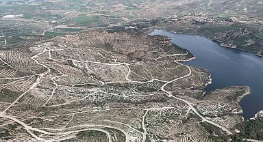 Çanakkale'de yanan ormanlar yangına dayanıklı fidanlarla yeniden yeşerdi