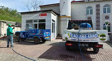 Canik'te kahverengi kokarca ile mücadele