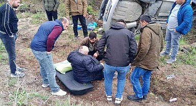 Çatalca'da araç ağaca saplandı: 1 yaralı