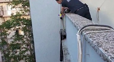 Çatı kenarında mahsur kalan yavru kediyi, itfaiye kurtardı