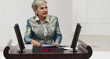 CHP'li Özdemir'den Bakan Memişoğlu'na 'medikal estetik' soruları