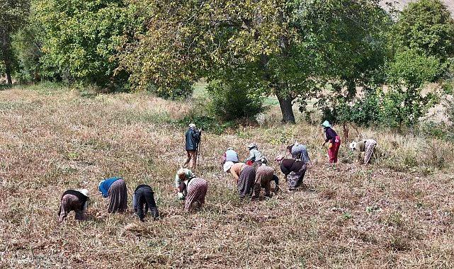 Çiftçilere destek ödemesi bugün yapılacak