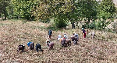 Çiftçilere destek ödemesi bugün yapılacak