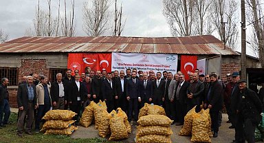 Çiftçilere hibe patates tohumu desteği