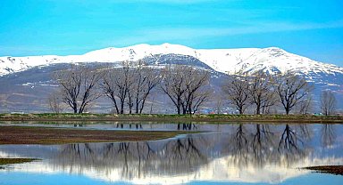 Çığ ve zirai don uyarısı