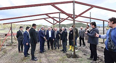 Çorum'da atıklardan sokak hayvanları için mama üretilecek