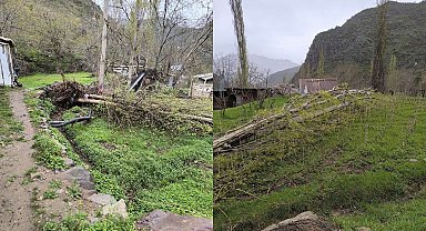 Çukurca'da şiddetli fırtına ağaçları devirdi