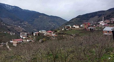Danıştay kararını verdi; 35 yıl sonra Giresun'a bağlandılar