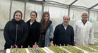 Dayanıklı marul yetiştirilmesi projesine destek