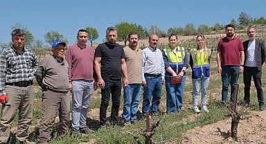 Denizli Büyükşehir üreticileri yalnız bırakmıyor