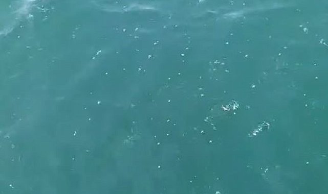 Depreme denizde yakalandılar: "Marmara açıklarında bir gürültü koptu, tekne sallandı"