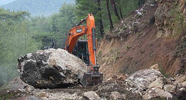 Dev kaya yola düştü, tarım alanları zarar gördü