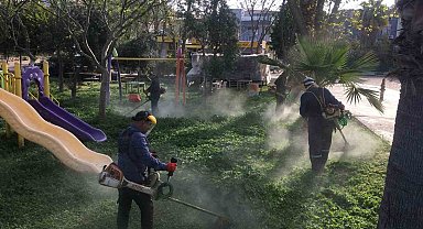 Didim Belediyesi yeşil alanlarda bakım çalışmalarını sürdürüyor