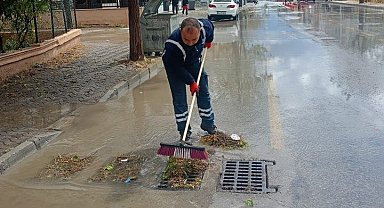 Didim'de mazgallar temizlendi