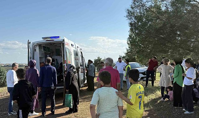 Direksiyon eğitimi sırasında yürüyüş yapan çifte ve ağaca çarptı